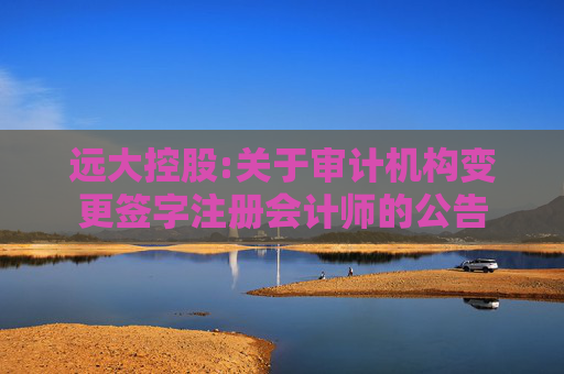 远大控股:关于审计机构变更签字注册会计师的公告