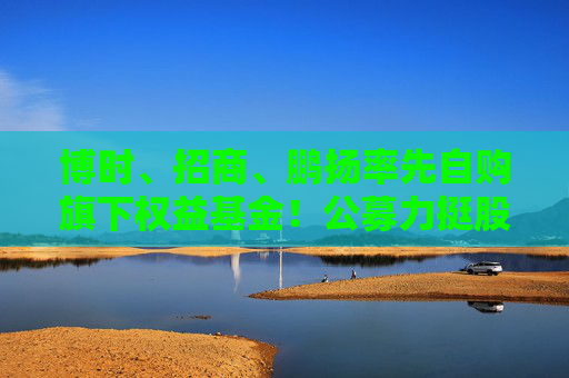 博时、招商、鹏扬率先自购旗下权益基金！公募力挺股市