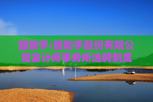 蜂助手:蜂助手股份有限公司会计师事务所选聘制度