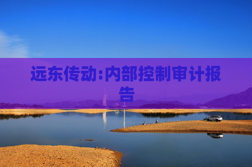远东传动:内部控制审计报告  第1张