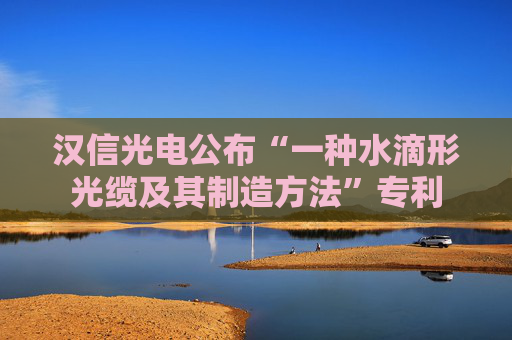 汉信光电公布“一种水滴形光缆及其制造方法”专利  第1张