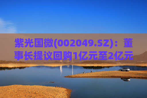 紫光国微(002049.SZ)：董事长提议回购1亿元至2亿元公司股份