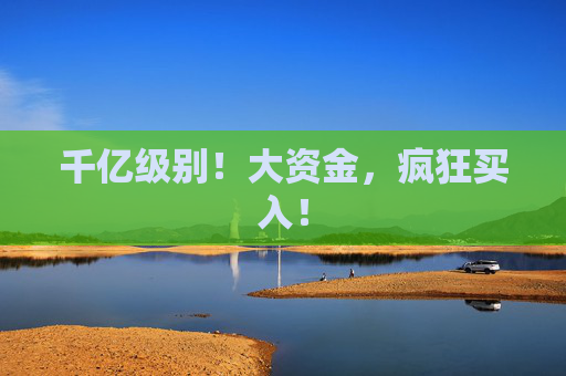 千亿级别！大资金，疯狂买入！