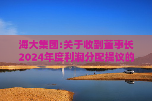 海大集团:关于收到董事长2024年度利润分配提议的公告
