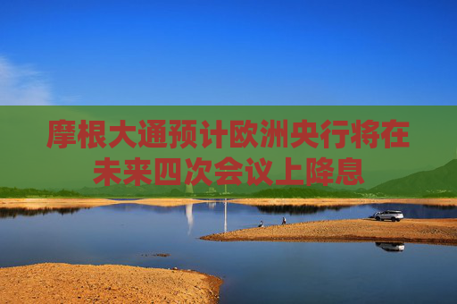 摩根大通预计欧洲央行将在未来四次会议上降息  第1张