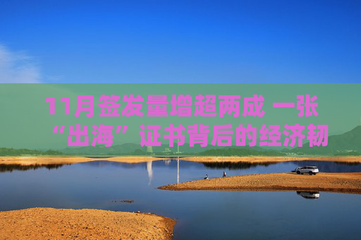 11月签发量增超两成 一张“出海”证书背后的经济韧性