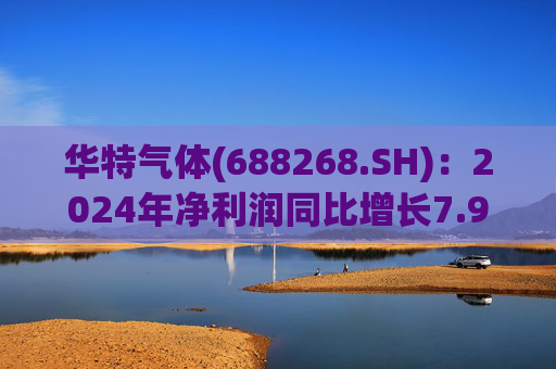 华特气体(688268.SH)：2024年净利润同比增长7.99% 拟10派6元  第1张
