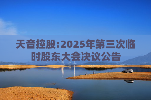 天音控股:2025年第三次临时股东大会决议公告