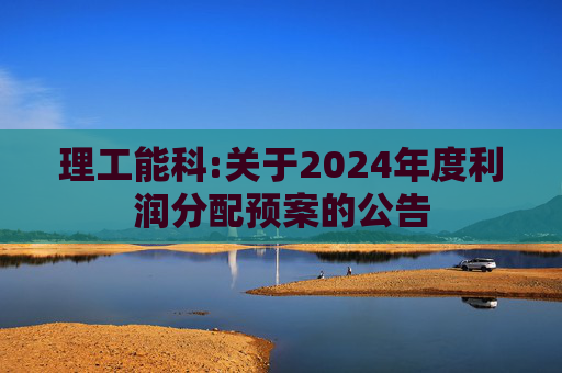 理工能科:关于2024年度利润分配预案的公告