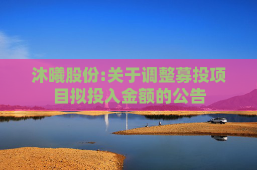 沐曦股份:关于调整募投项目拟投入金额的公告