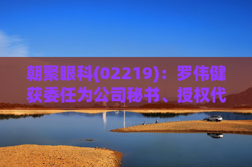 朝聚眼科(02219)：罗伟健获委任为公司秘书、授权代表