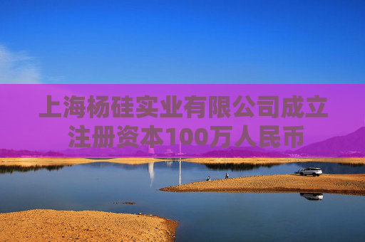 上海杨硅实业有限公司成立 注册资本100万人民币