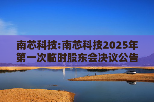 南芯科技:南芯科技2025年第一次临时股东会决议公告