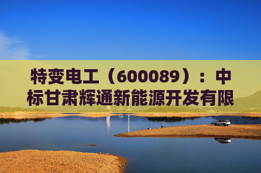 特变电工（600089）：中标甘肃辉通新能源开发有限公司采购项目，中标金额为3305.00万元