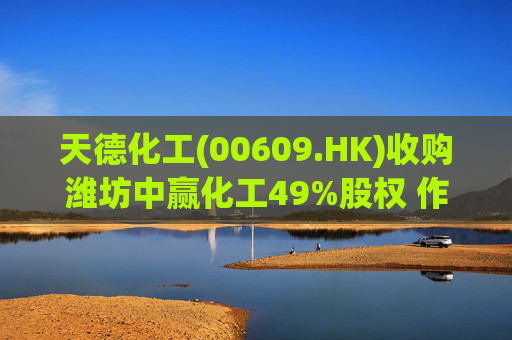 天德化工(00609.HK)收购潍坊中赢化工49%股权 作价8800万元
