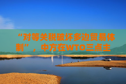 “对等关税破坏多边贸易体制”，中方在WTO三点主张发言，引发广泛呼应  第1张