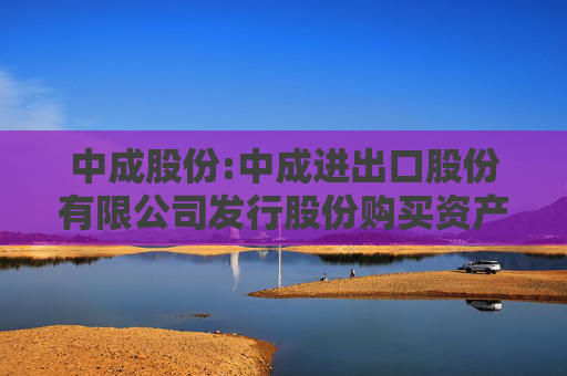 中成股份:中成进出口股份有限公司发行股份购买资产并募集配套资金暨关联交易报告书（草案）（修订稿）