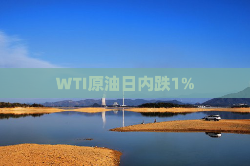 WTI原油日内跌1%