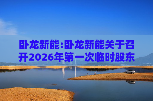 卧龙新能:卧龙新能关于召开2026年第一次临时股东会的通知  第1张