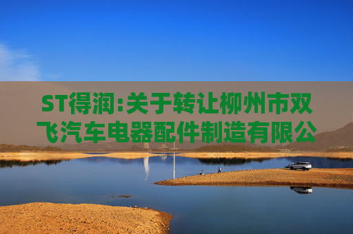 ST得润:关于转让柳州市双飞汽车电器配件制造有限公司部分股权的进展公告