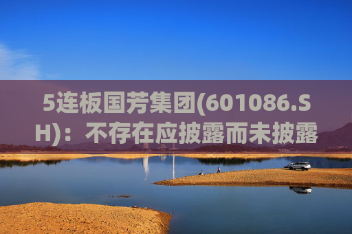 5连板国芳集团(601086.SH)：不存在应披露而未披露的重大信息