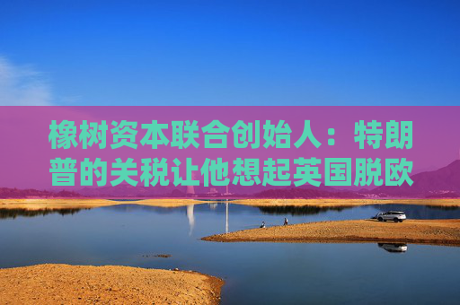 橡树资本联合创始人：特朗普的关税让他想起英国脱欧