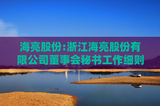 海亮股份:浙江海亮股份有限公司董事会秘书工作细则  第1张