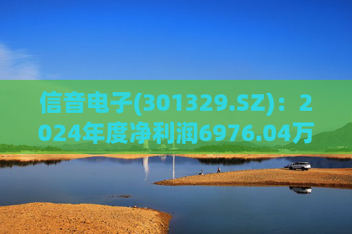信音电子(301329.SZ)：2024年度净利润6976.04万元 拟10派2.6元  第1张