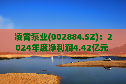 凌霄泵业(002884.SZ)：2024年度净利润4.42亿元 拟10派10元  第1张