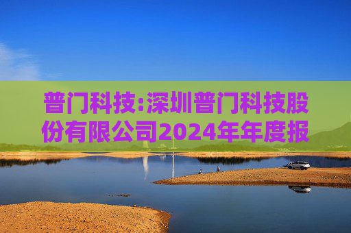 普门科技:深圳普门科技股份有限公司2024年年度报告  第1张