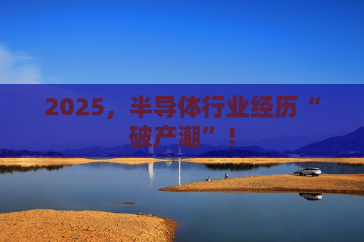2025，半导体行业经历“破产潮”！