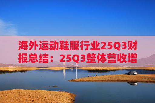 海外运动鞋服行业25Q3财报总结：25Q3整体营收增速放缓 毛利率表现分化 多数费率提升  第1张