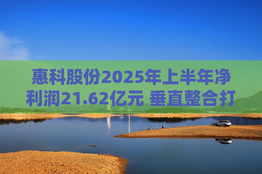 惠科股份2025年上半年净利润21.62亿元 垂直整合打造显示产业全链条优势