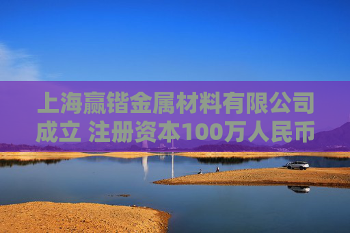 上海赢锴金属材料有限公司成立 注册资本100万人民币