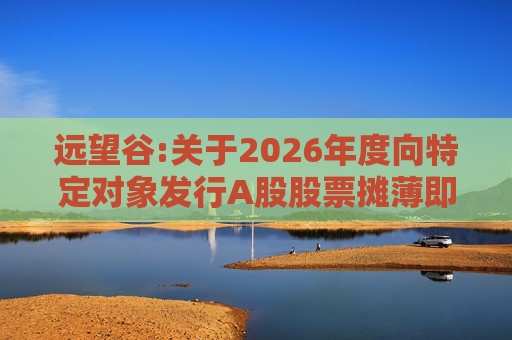 远望谷:关于2026年度向特定对象发行A股股票摊薄即期回报及填补措施和相关主体承诺的公告