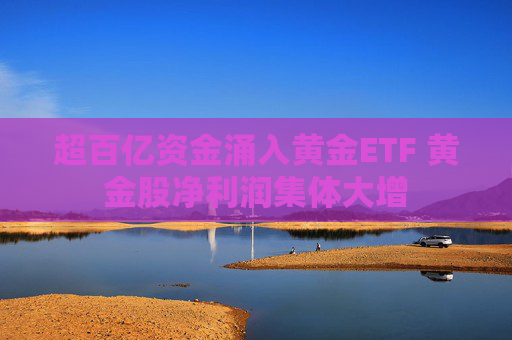 超百亿资金涌入黄金ETF 黄金股净利润集体大增
