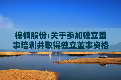 棕榈股份:关于参加独立董事培训并取得独立董事资格证书的承诺函（代文明）