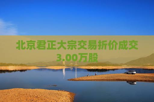 北京君正大宗交易折价成交3.00万股  第1张
