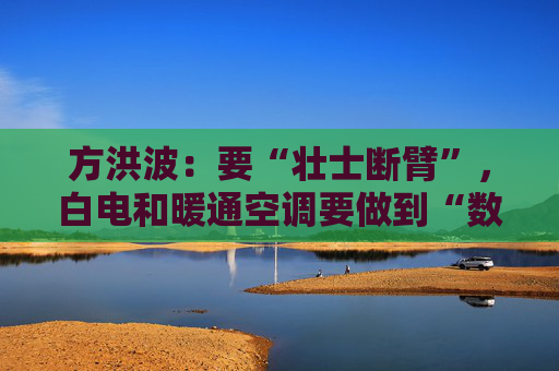 方洪波：要“壮士断臂”，白电和暖通空调要做到“数一数二”  第1张