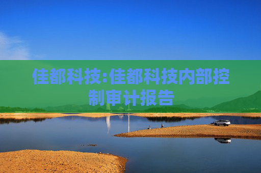 佳都科技:佳都科技内部控制审计报告