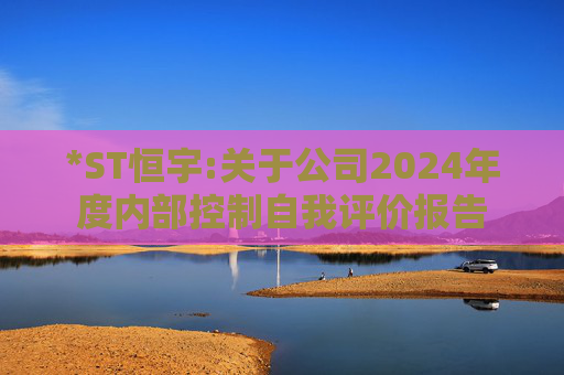 *ST恒宇:关于公司2024年度内部控制自我评价报告
