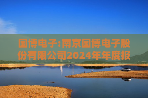 国博电子:南京国博电子股份有限公司2024年年度报告  第1张
