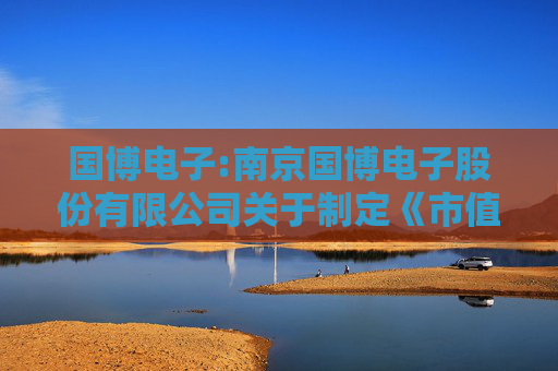 国博电子:南京国博电子股份有限公司关于制定《市值管理办法》的公告  第1张