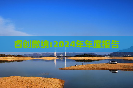 睿创微纳:2024年年度报告