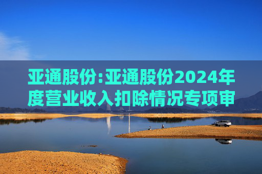 亚通股份:亚通股份2024年度营业收入扣除情况专项审核意见  第1张