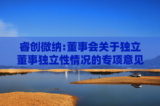 睿创微纳:董事会关于独立董事独立性情况的专项意见