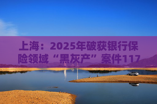 上海：2025年破获银行保险领域“黑灰产”案件117起 持续净化金融生态