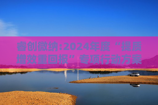 睿创微纳:2024年度“提质增效重回报”专项行动方案的评估报告暨2025年度“提质增效重回报”专项行动方案