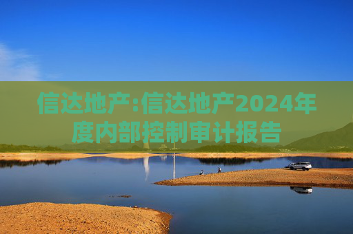 信达地产:信达地产2024年度内部控制审计报告  第1张
