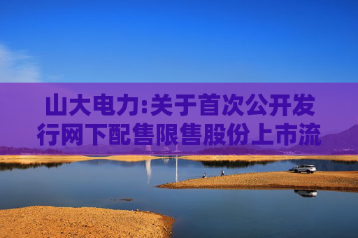 山大电力:关于首次公开发行网下配售限售股份上市流通提示性公告
